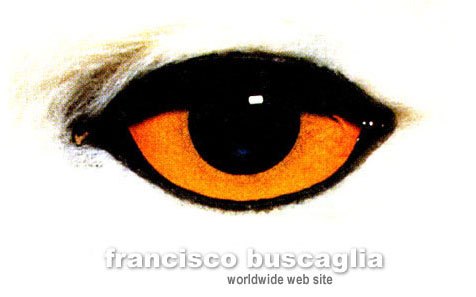 Welcome / Bienvenido